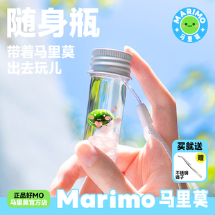 口袋宠物趣味水培好养幸福海藻球藻盆栽礼物 Marimo马里莫 随身瓶