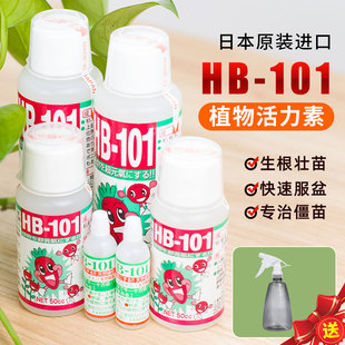 hb101植物活力素日本花卉绿萝多肉盆栽专用绿植营养活力液家用