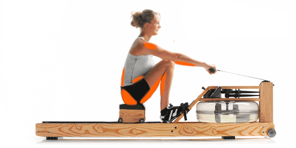 rower(水阻划船机介绍及注意事项，主要锻炼哪些肌肉部位？)