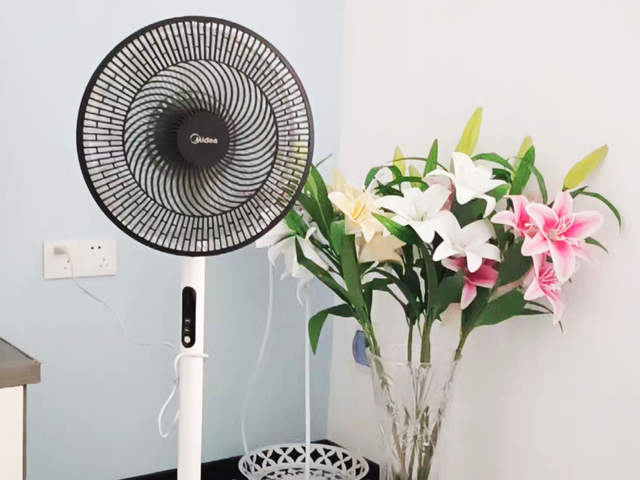 大松空调(为什么美的电风扇能被多数家庭选择？不是越贵越好，而是物有所值)