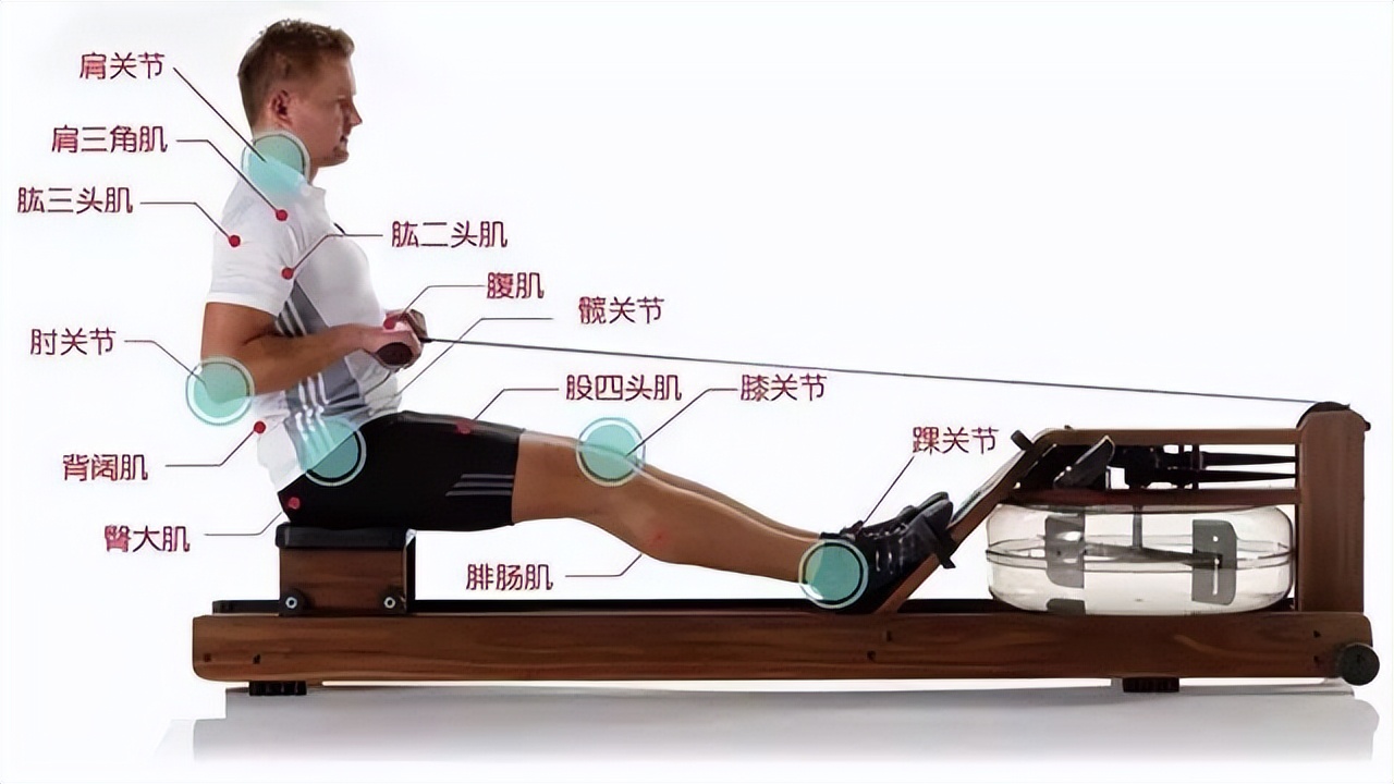 rower(水阻划船机介绍及注意事项，主要锻炼哪些肌肉部位？)