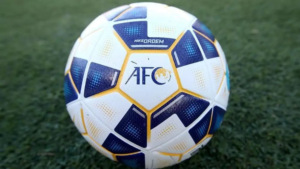 世界杯假球沙特埃及(亚足联调查世预赛末轮违规：无关假球，查的是这事儿！)
