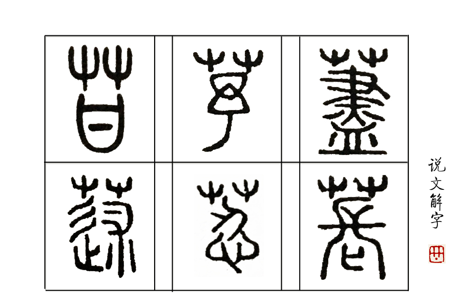 猕猴桃含义(《说文解字》第48课：你知道“猕猴桃”在中国古代叫什么吗?)