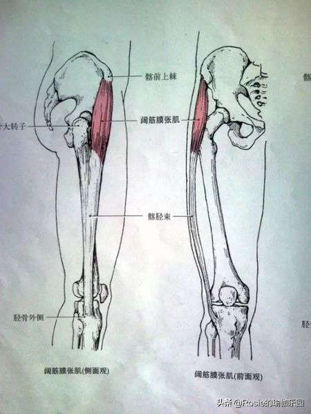 小学生瘦腿方法(想要秦岚一样的大长腿，难吗？其实只差一条毛巾，一个瓶子的距离)
