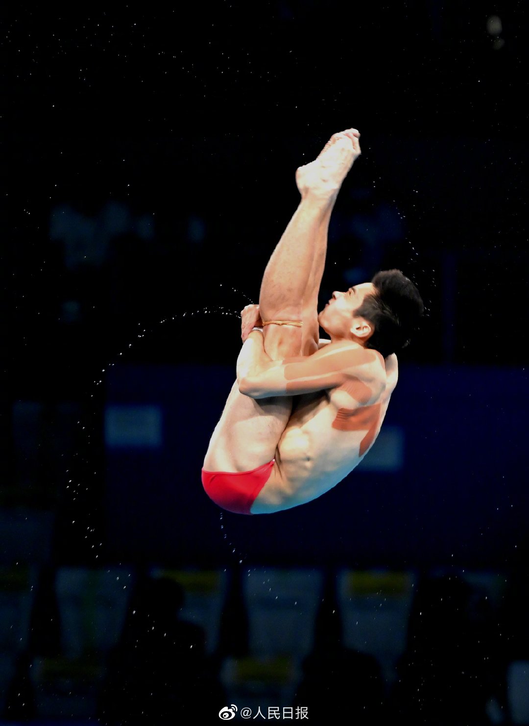 奥运会跳水项目都有哪些(中国跳水经久不衰的秘密到底是什么?)