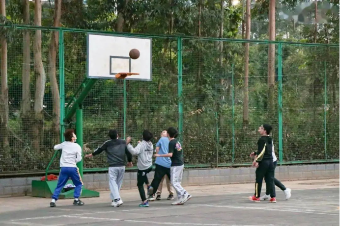 普通人怎么打职业篮球(中国打篮球的人这么多，为什么职业篮球水平却这么差)
