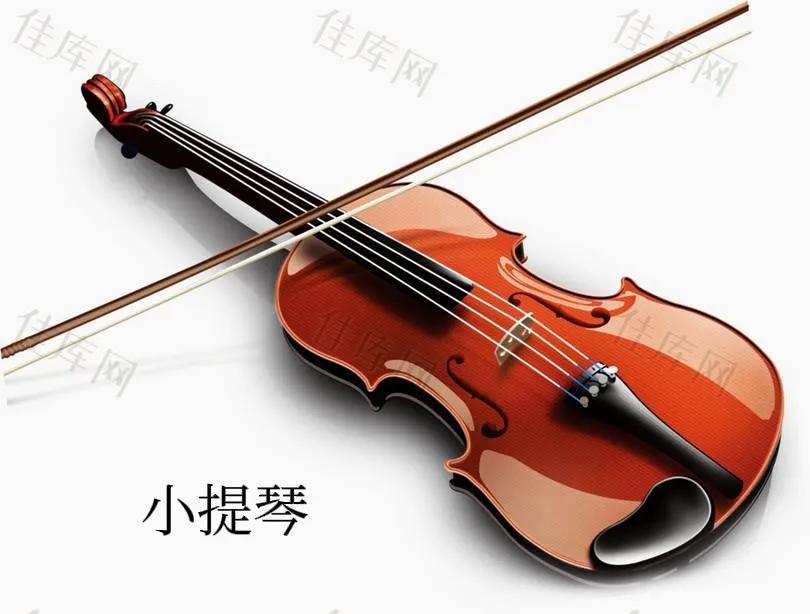 乐器大家庭(「乐器大家庭」之西洋弓弦乐器(二)小提琴)