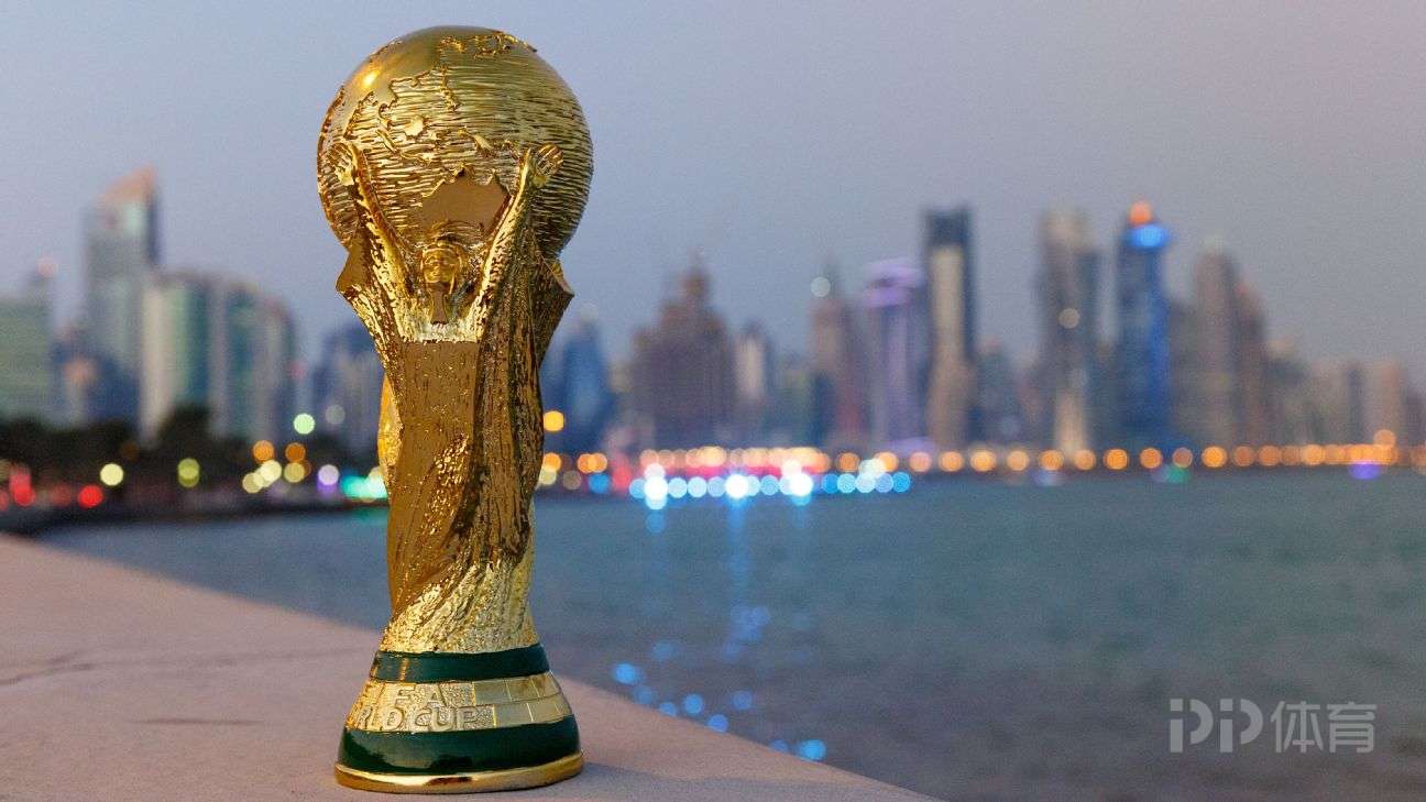 俄罗斯世界杯足球赛门票价格(外媒：卡塔尔世界杯决赛最昂贵门票1600美元 远超上届决赛)