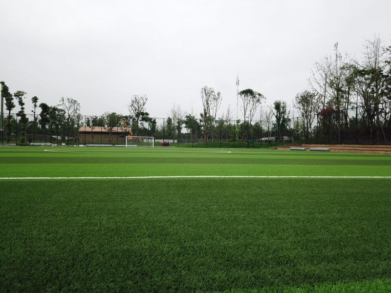 足球场的球门长多少二年级(五人制笼式足球场的大小有不同的规格和要求)